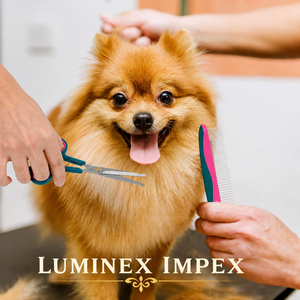 Ciseaux professionnels pour toilettage des animaux, pour couper les poils des animaux, ciseaux de toilettage pour une coupe lisse et facile, professionnels - Product Image 6