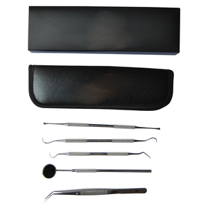Ensemble d'examen dentaire professionnel 6 pièces, kit de nettoyage dentaire en acier inoxydable, outils de soins bucco-dentaires - Product Image 4