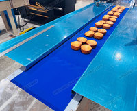Machine d'emballage horizontale électrique automatique haute vitesse pour sacs Flow Back, pour l'emballage de films alimentaires de boulangerie