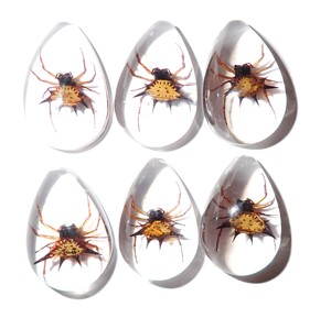 Spiny <b>Spider</b> Real Specimen <b>Plastic</b> Cabochon Pear Shape Cut Top 33x22 mm Clear Flat Bottom for Crafts and Jewelry Making - Product Image 3