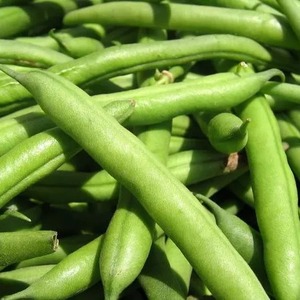Guisantes, garbanzos amarillos, guisantes de paloma o toor dal, vegetales enteros, congelados a granel, estilo verde, de buena calidad. - Product Image 6