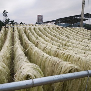 Fibres de sisal de haute qualité, matériau en fibres naturelles pour cordes, cordons, brosses, tapis, emballages, artisanat et diverses nécessités de fabrication - Product Image 2