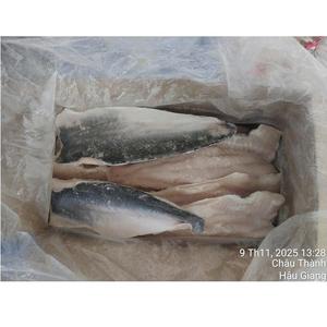 Exportación Directa de Fábrica, Pescado Fileteado con Piel IQF de 10-12cm, Grado Vietnam, 24 Meses de Vida Útil, Pangasius A/B, Mariscos a Granel - Product Image 1
