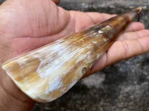 Chausse-pied artisanal en corne de buffle naturelle polie, court et de taille moyenne, artisanat indien - Product Image 4