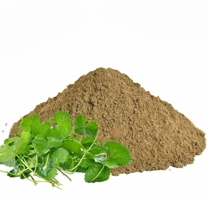 Poudre de feuilles de Brahmi finement moulue, poudre pure de feuilles de Brahmi pour les soins capillaires, favorise le développement du cerveau et la santé du système nerveux - Product Image 4