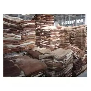 Pieles de vaca saladas secas a granel, calidad de exportación, pieles bovinas naturales sin procesar para la industria de curtido de cuero - Product Image 4