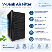 Filter Udara Kaku Karbon Aktif Tipe-V dengan Rangka ABS, Filter Udara Industri untuk Menghilangkan Bau, Pemurnian Udara, Nilai Iodin Khusus