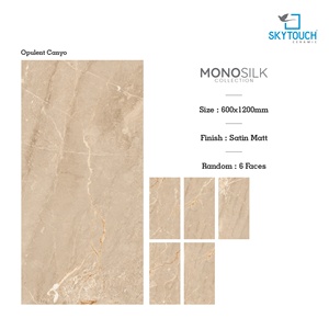 Baldosas para Suelos Interiores de Porcelana Esmaltada de 600x1200 mm, 60x120 cm, Acabado Pulido, para Suelos y Paredes, Borde Rectificado - Product Image 3