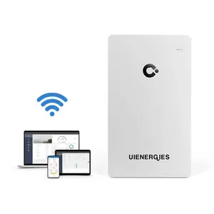 UIENERGIES Wall Mounted Lithium Ion Battery 48V 5Kwh 10Kwh 200Ah Wall Power Lifepo4 Battery Home Energy Storage Systems