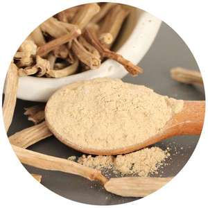 Polvo de Raíz de Shatavari Ayurvédico, Tónico Natural para Mujeres, para Equilibrio Hormonal, Apoyo a la Fertilidad, Refuerzo de la Inmunidad, Proveedor al por Mayor - Product Image 4