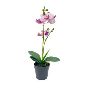 Heetste Peva Wit-Paars Verschillende Kleuren Kunstmatige Groothandel Bloemen Orchidee In Zwart Plastic Pot Warenhuizen Home Decor