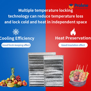 Sacs isothermes écologiques imperméables à motif losanges en PE, fermeture éclair, pliables, 24L, chaud/froid - Product Image 4