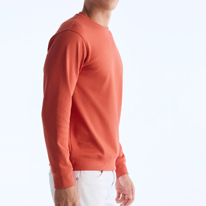 Men's Casual Cotton Sweatshirts Solid Pattern 100% Cotton Winter Season <b>Thick</b> <b>Fleece</b> with Custom Logo Embroidery Wholesale - Product Image 5