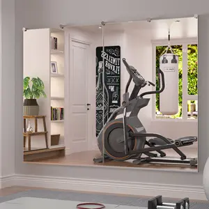 Factory price modern wall mirrors for gym and dancing room