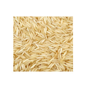 Nuevo Arroz Dorado de Alta Calidad, Arroz Seco de Grado A1+, Arroz Sella Basmati 1509 Fresco de Grano Extra Largo, Arroz Popular - Product Image 1