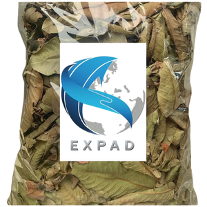 Mejor Precio de Capullos de Flor de Guayaba y Hojas Enteras, Precio Directo de Fábrica, Hojas Puras de Planta, Empacadas en Caja de Cartón por Exportador Vietnamita - Product Image 2