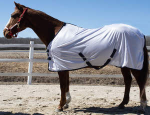 Combo de alfombra ligera para caballos de verano, cubierta de cuello de malla para caballos para montar en clima cálido - Product Image 3