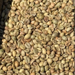 Vietnam Robusta Green Coffee <b>Beans</b> Bulk Supply Export Quality Coffee Roasters Worldwide - Product Image 3