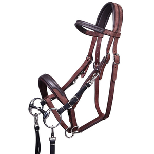 Bride de cheval en cuir de luxe, style anglais, faite à la main, avec frontale personnalisable en couleur et taille (Cob, Full, sur mesure) - Product Image 1