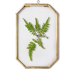 Cadre photo flottant classique en verre et laiton, hexagonal doré, pour décoration murale de la maison, en vente en gros - Product Image 2