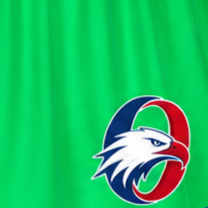 Custom <b>Green</b> Cheerleading <b>Skirt</b> <b>Pleated</b> Athletic Uniform <b>Skirt</b> With Striped Trim Team Performance Wear Custom Sports Apparel - Product Image 5