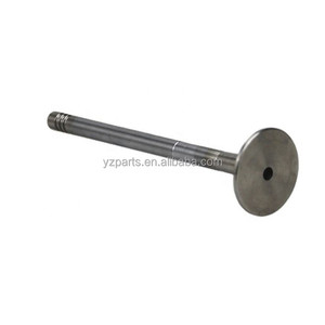 Válvula de motor AJ200 AJ300 204DTA 306PS 448PN 508PS para Land Rover 2,0 2,0 T 2,2 T 2,7 T 3,0 3,0 T 3,6 3,6 T 4,2 4,2 T 4,4 4,4 T 5,0 5,0 T - Product Image 2