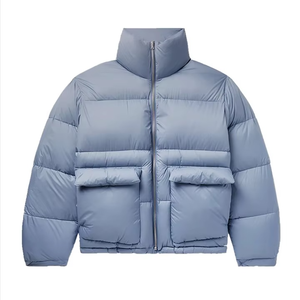 Veste d'hiver décontractée pour homme, bleue, à col montant, en duvet, avec fermeture éclair, épaisse, coupe ample, couleur unie - Product Image 1
