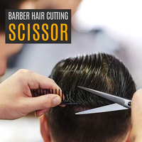 Ciseaux de barbier professionnels pour droitiers en acier inoxydable à lame droite, tranchants, kit d'outils de beauté pour salon inclus