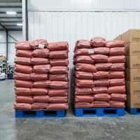 Poudre de tomate pure naturelle séchée par pulvérisation, sac de 25 kg, assaisonnement de tomate déshydratée, ketchup, pour la fabrication de pizzas, Halal, en vrac, usine Hebei Chine
