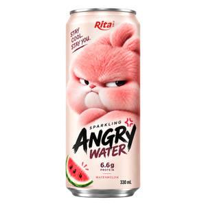 Rita Bebida de Agua de Mango con Gas en Lata de 330ml, Bebida Carbonatada, Proveedor Mayorista de Bebidas, Fábrica OEM ODM, Marca Privada - Product Image 2