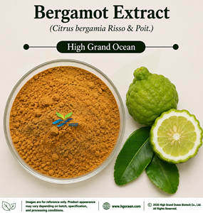 Extrait de Bergamote (Citrus bergamia Risso & Poit.) – Approvisionnement Direct Usine HGO (De qualité alimentaire) Rapport 4:1 5:1 10:1 20:1 100:1 200:1 - Product Image 1