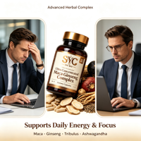 OEM Racine de Maca Naturelle Panax Elite Formule Beauté Énergisante 10:1 pour Hommes, Amélioration de la Densité Osseuse, 60 Capsules, Supplément Privé