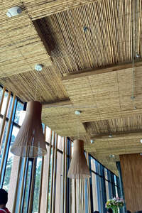 Mini piquets en bambou Tonkin naturel de 60 cm, droits et secs, matière première par VIFARMEX - Product Image 4