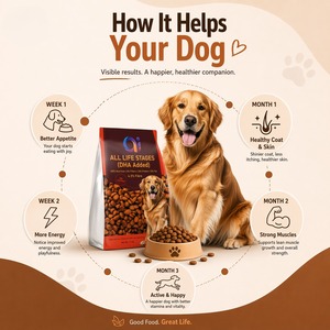 Alimento Seco para Perros con Alto Contenido de Proteínas, Marca Privada OEM, para Todas las Etapas de la Vida, Fórmula Personalizada, Paquete de 10 kg, Nutrición Completa, Proveedor a Granel - Product Image 5
