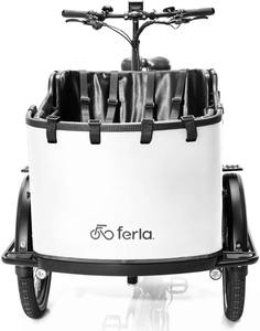 Vélo cargo électrique avec batterie longue autonomie, cadre robuste, assistance au pédalage et solution de livraison urbaine écologique - Product Image 6