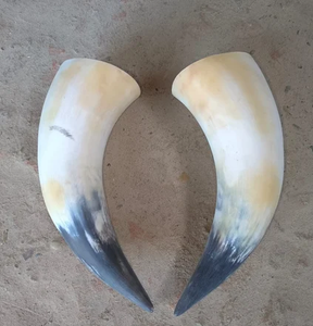 Buffalo <b>Decorative</b> Horn Pair Cheap Price Handicrafts Showpieces Eco-Friendly <b>Decorative</b> Horn Piece At Best Price - Product Image 5