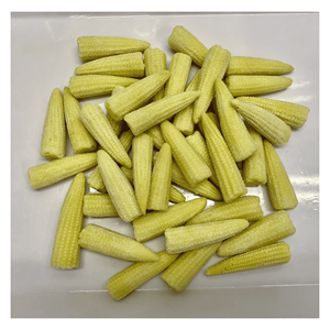 Maïs bébé surgelé IQF, fabriqué à partir de maïs bébé frais vietnamien, idéal pour les plats sautés, les soupes et la transformation de légumes surgelés, Vietnam. - Product Image 1