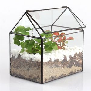 Elegant geometric glass terrarium with metal <b>stand</b> display plant container - Product Image 3