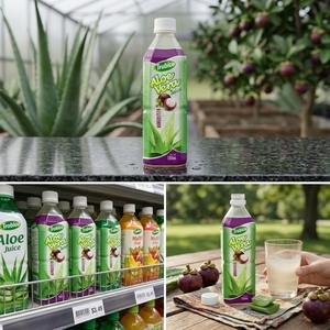 Vietnam Manufacturer's 500ml PET <b>Bottle</b> Fast Delivery Fresh-<b>Squeezed</b> Aloe Vera Juice New Design Flavored Drink in Bulk Trobico - Product Image 3