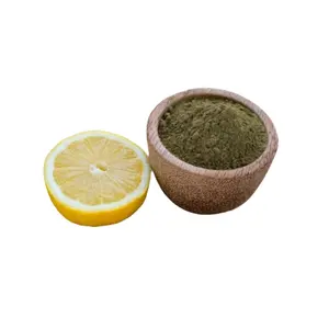 Extracto de limón en polvo de fruta con sabor a limón natural de fabricante líder de la India