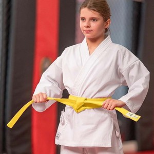 Ceinture de Karaté Premium Personnalisée pour Enfants, Ceinture de Maître de Judo, Ceinture d'Arts Martiaux, Fabricant OEM - Product Image 5
