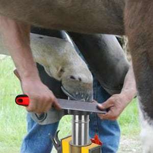Portable Veterinary Hoof <b>Stand</b> Adjustable Horse Hoof Support Tool for Farrier Hoof Trimming <b>Work</b> - Product Image 3