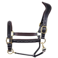 Harnais de tête en cuir de vache argentin de qualité supérieure pour l'équitation western, décoré d'une tête d'alligator turquoise, pour toutes les utilisations