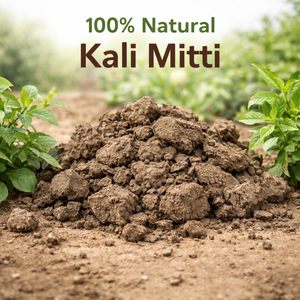 Contenedor de Alimentos de Fibra Vegetal Natural de Gran Capacidad |   Caja de Almacenamiento para Exteriores con Diseño Moderno - Product Image 5