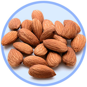 Amandes 95% sans gras, ingrédient à base de noix pour une alimentation équilibrée et une sélection de produits d'épicerie inspirée du bien-être - Product Image 5