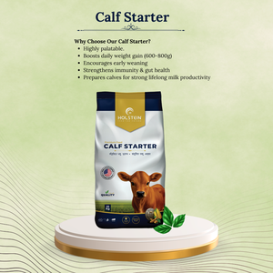 Alimento Premium para Terneros 25kg – Pellets de Alta Energía para <span class=keywords><strong>Ganado</strong></span> Lechero - Product Image 3