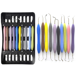 Kit de Instrumentos Dentales CE de 10 Piezas, Juego de Instrumentos de Restauración de Composite de Acero Inoxidable, Manual, con Empuñadura Ergonómica de Silicona - Product Image 3