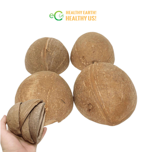 Vente en gros de demi-coquilles de noix de coco pour la préparation de desserts glacés, la fabrication de bougies, bols biodégradables et écologiques, Vietnam - Product Image 3