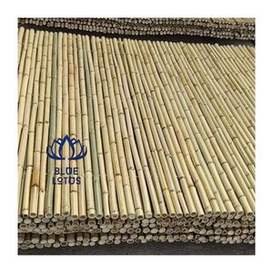 Varas de Bambú, Materia Prima de Color Natural, Duraderas, Superficie Limpia, Fácil Instalación para Agricultura y Soporte de Construcción - Product Image 1