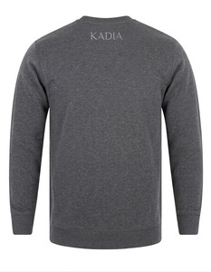 Factory Front Custom Logo ODM High Quality 100% Cotton Solid Men's Crew Neck Sweatshirt <b>Pullover</b> <b>Sweater</b> Autumn Hoodies - Product Image 2